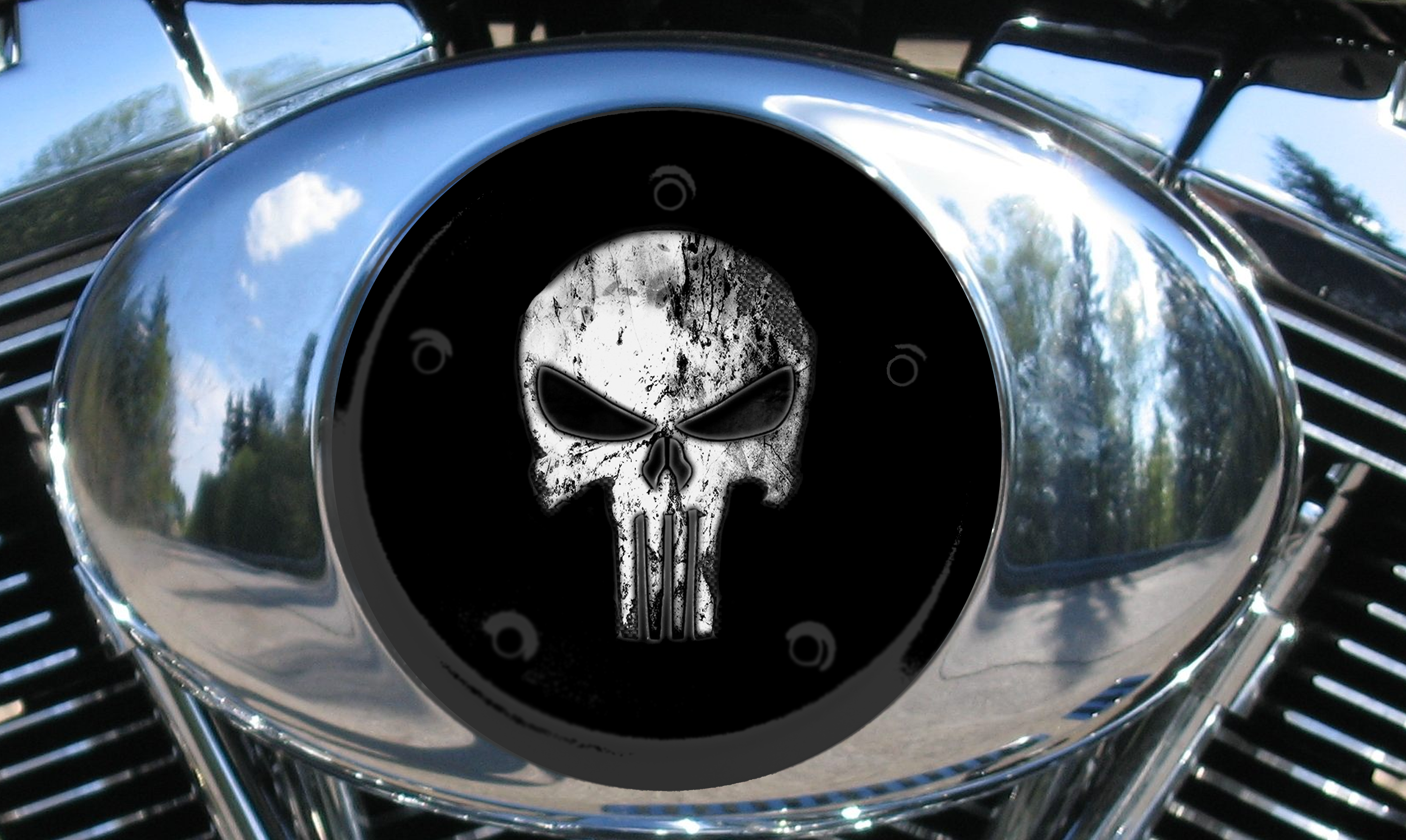 Custom Air Cleaner Cover - Punisher Skull